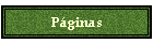 Pginas