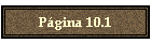 Pgina 10.1