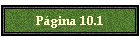 Pgina 10.1