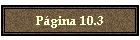 Pgina 10.3